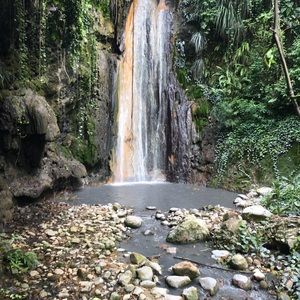 Meet your Posher, Lesley